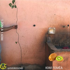 071B0694-9831-43BA-911F-5A2740D1B76F