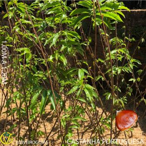 1E0D24D2-49E6-47F4-B320-5C312205F807