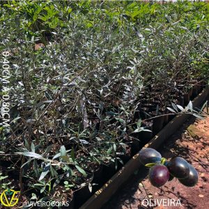 2793E5B9-12B9-4CE8-80CC-AF38BC4312B9