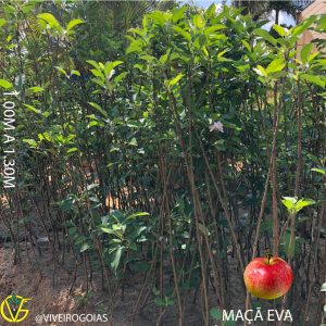 82F0A915-BF81-41E2-A4DE-0A2B01468BFC