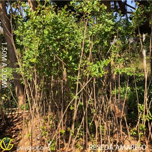 A8C38EE0-BBCA-4700-8AE1-5AD1499E6C65