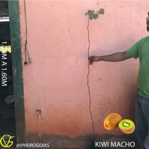 C61675B8-7C37-49BD-9706-AE23EEEF5100