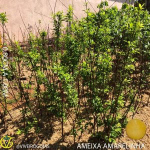 CD72EEC0-929A-4F4B-80BA-D0B1154DEE8B