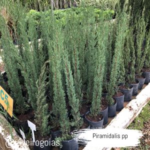 67D670EA-65BF-4AFA-9C32-C70EDDF402B7