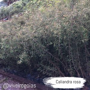 DE6718EB-2CD4-40AF-A49D-4282A0CA9433